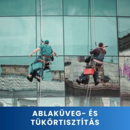 Ablaküveg- és tükörtisztítás